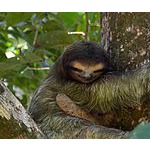 Foto von FrauLisaWagner, Burgenland