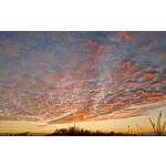 Foto von lilyofthevalley, Nieder�sterreich