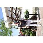 Foto von Tanzpartner, Nieder�sterreich