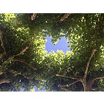 Foto von Hi1956, Wien