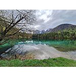Foto von Mabi46, Nieder�sterreich