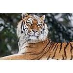 Foto von Neugierig78, Steiermark