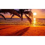 Foto von InLove, Wien