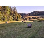 Foto von Landleben8, Nieder�sterreich