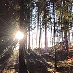 Foto von Ab_jetzt65, Nieder�sterreich