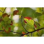 Foto von gleichgesinnt99, Nieder�sterreich