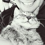 Foto von Prinses, Obersterreich