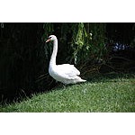 Foto von MA2104, Niedersterreich