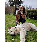 Foto von Vivalaswegas, K�rnten
