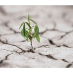 Foto von Mar245, Steiermark